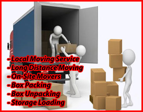Packers And Movers Noida Sector 127
